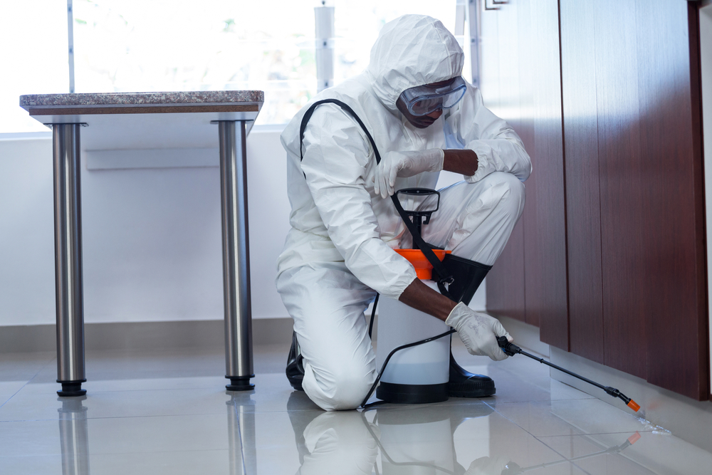 Pest Control Services